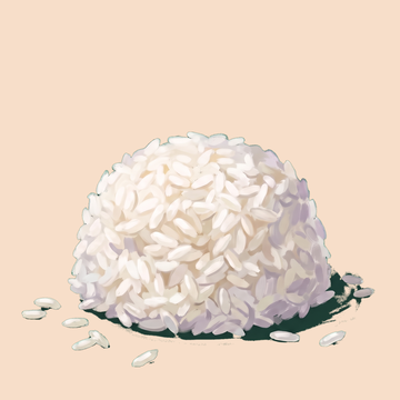 rice on tan